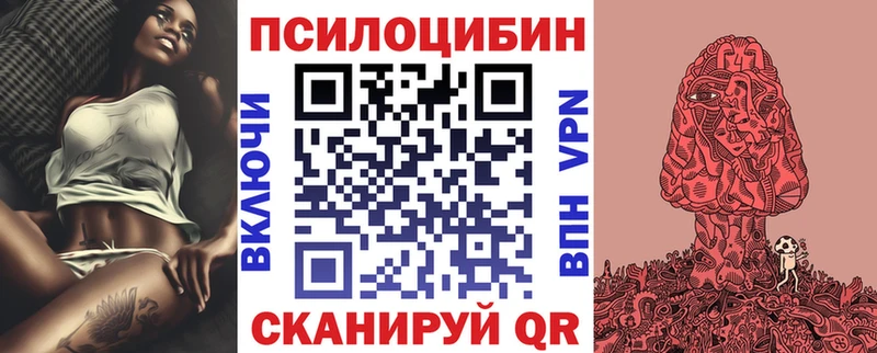 Псилоцибиновые грибы Psilocybine cubensis Венёв