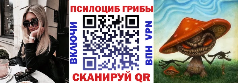 Галлюциногенные грибы Cubensis Венёв