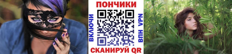 shop наркотические препараты  Венёв  Каннабис план 
